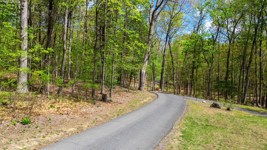 Hessian Ln, Staunton, VA 24401 - photo 9
