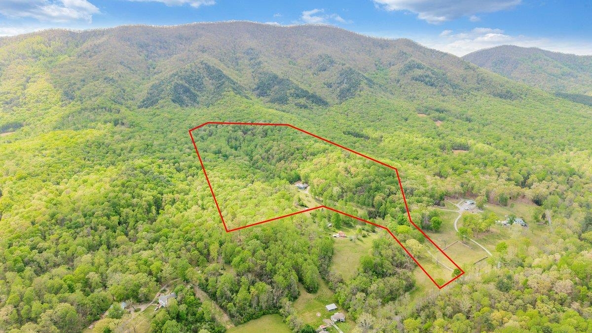649 Greyledge Rd, Buchanan, VA 24066 — photo 7
