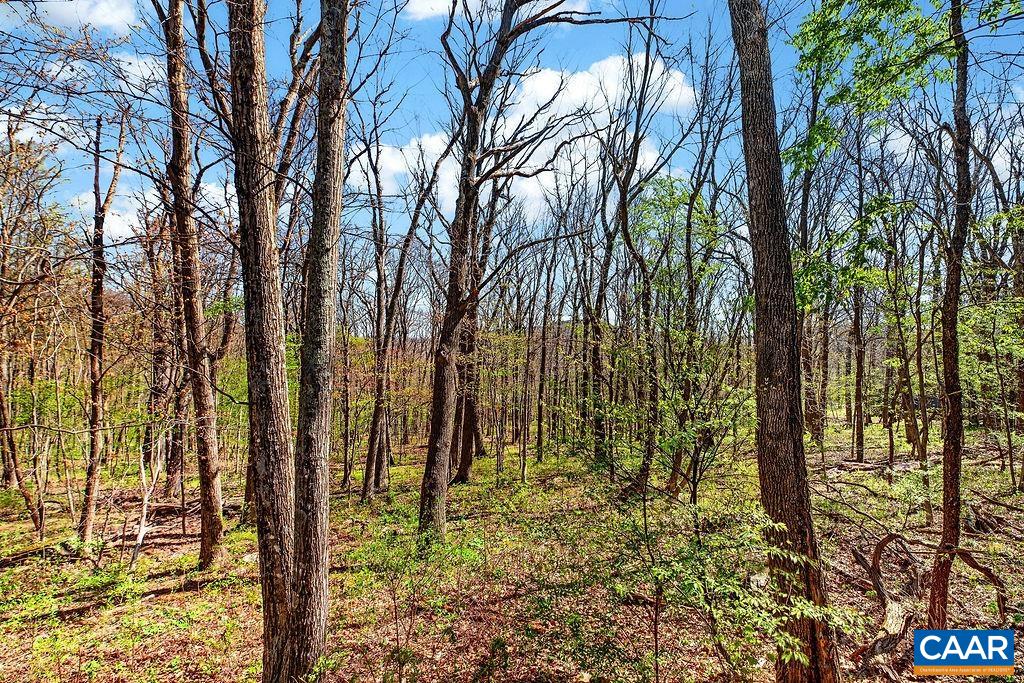 952 Blue Ridge Dr, Wintergreen Resort, VA 22967 — photo 7