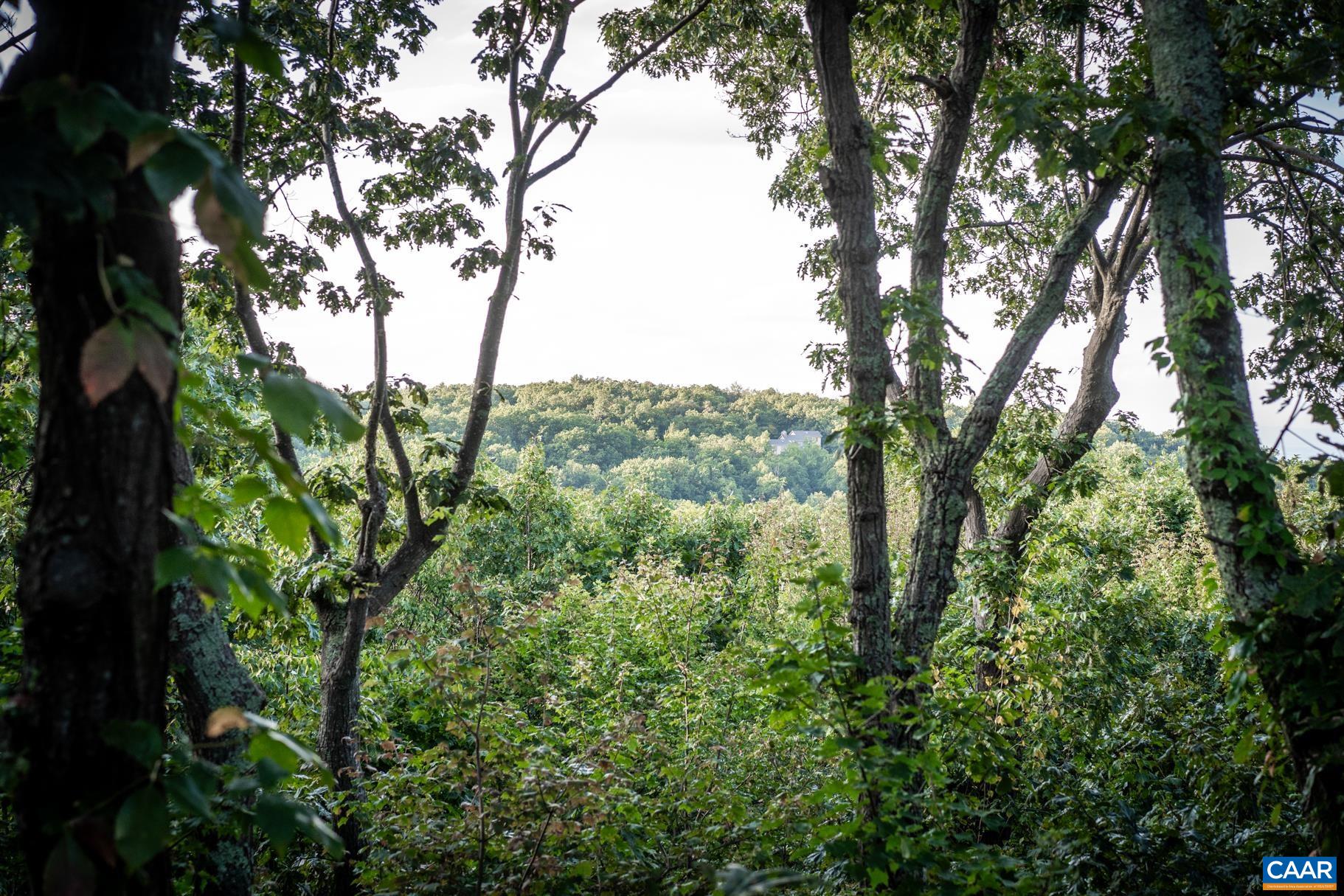 42 Peavy Pt, Wintergreen, VA 22967 — photo 6
