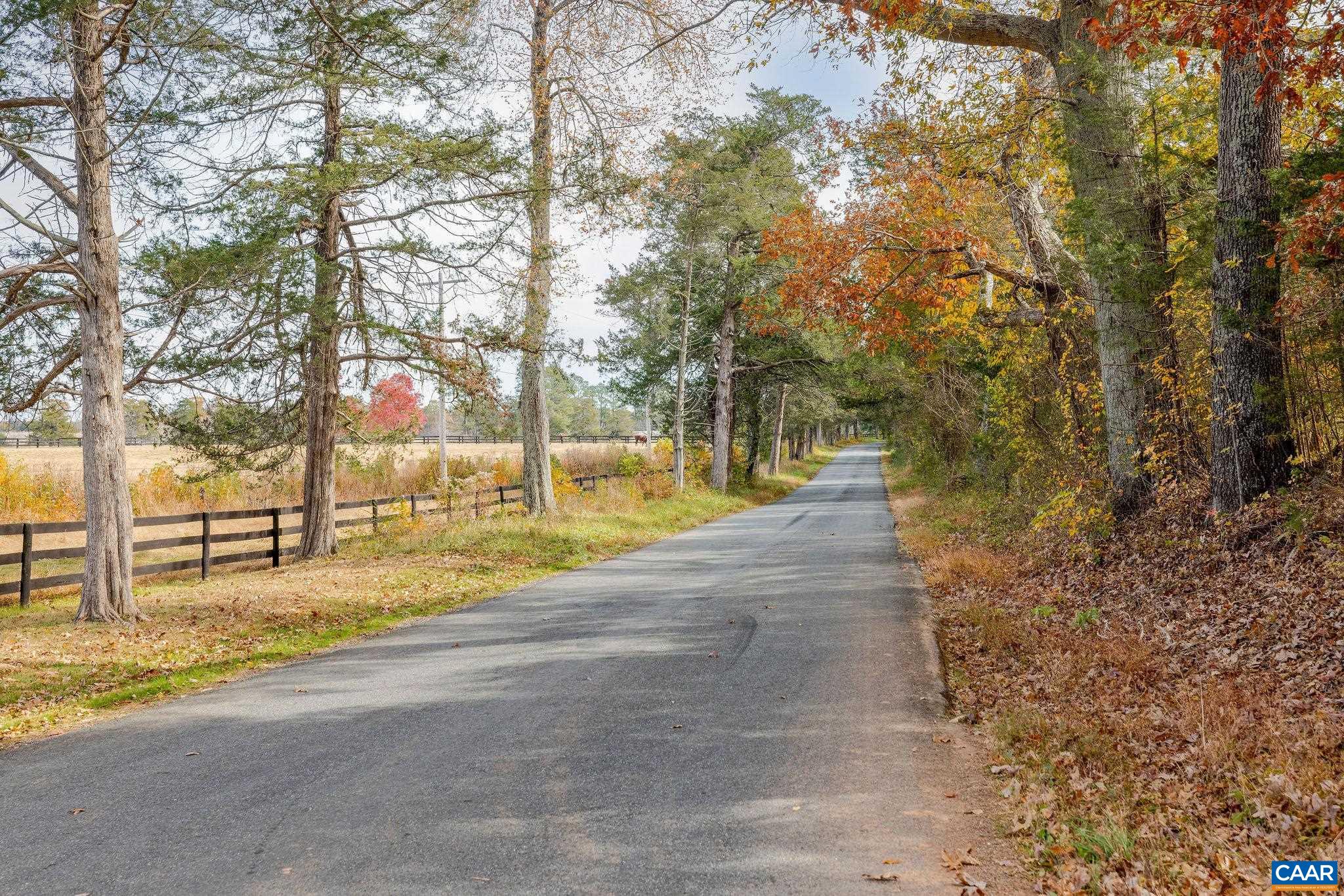 21 Coles Rolling Rd, Scottsville, VA 24590 — photo 2