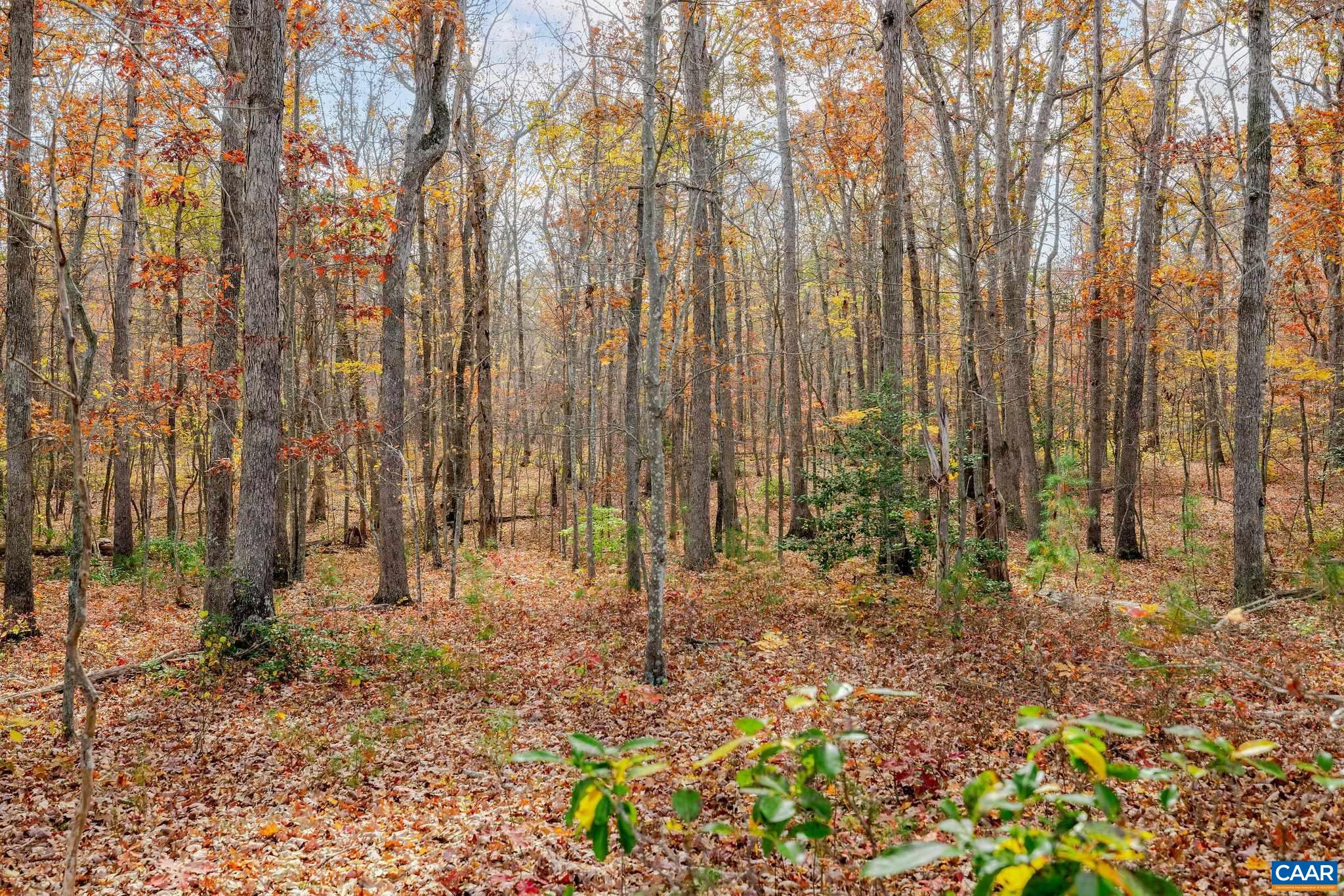 21 Coles Rolling Rd, Scottsville, VA 24590 — photo 3