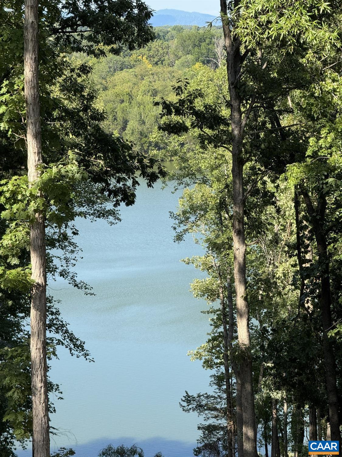 2032 Turkey Mountain Rd, Amherst, VA 24521 — photo 5