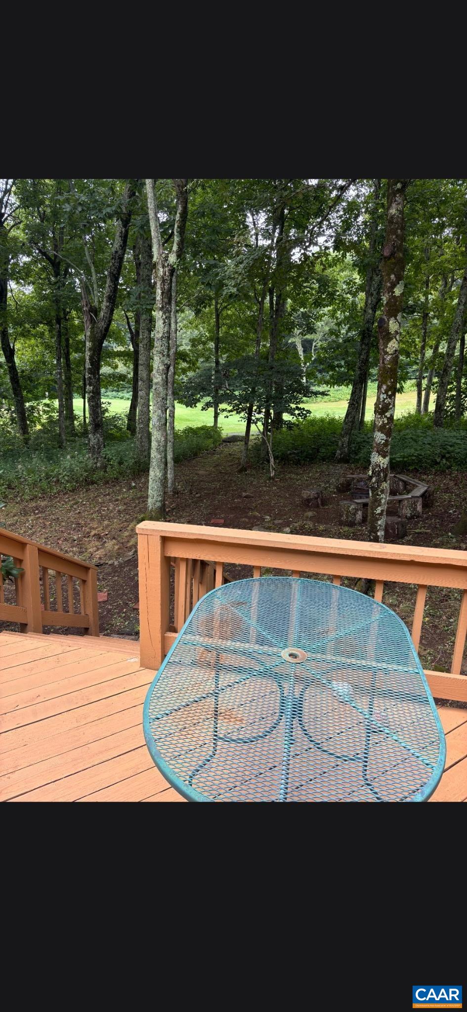 67 S Forest Dr, Wintergreen Resort, VA 22967 — photo 9