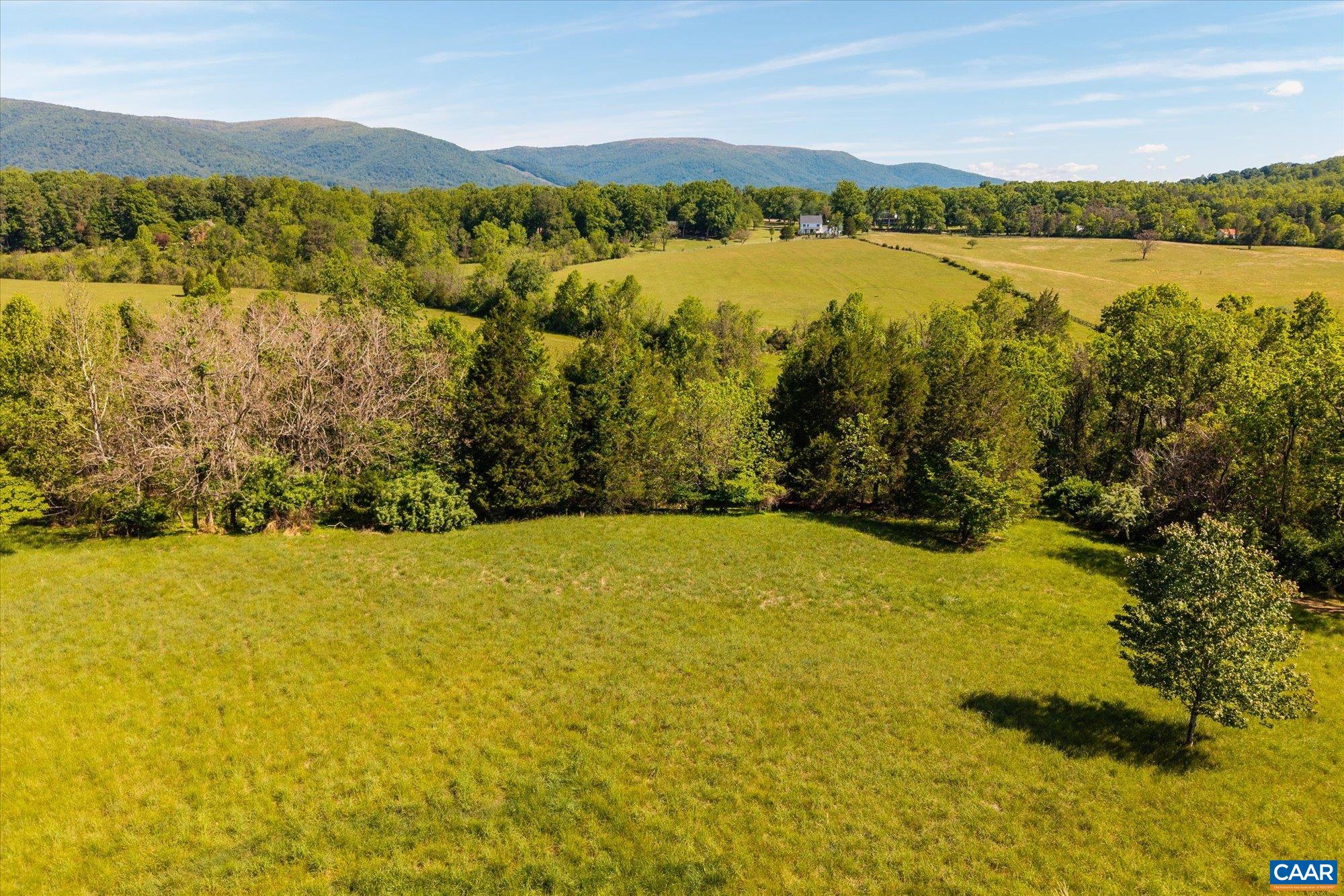 1141 Kingsway Rd, Charlottesville, VA 22920 — photo 4