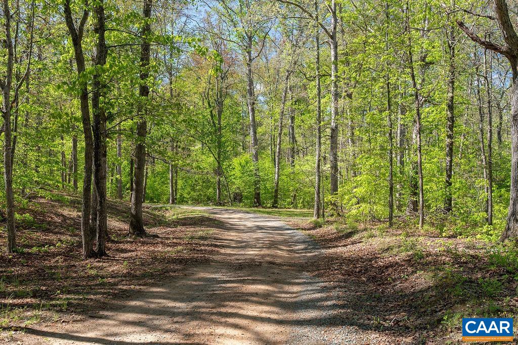 317 Lake View Ln, Palmyra, VA 22963 - photo 3