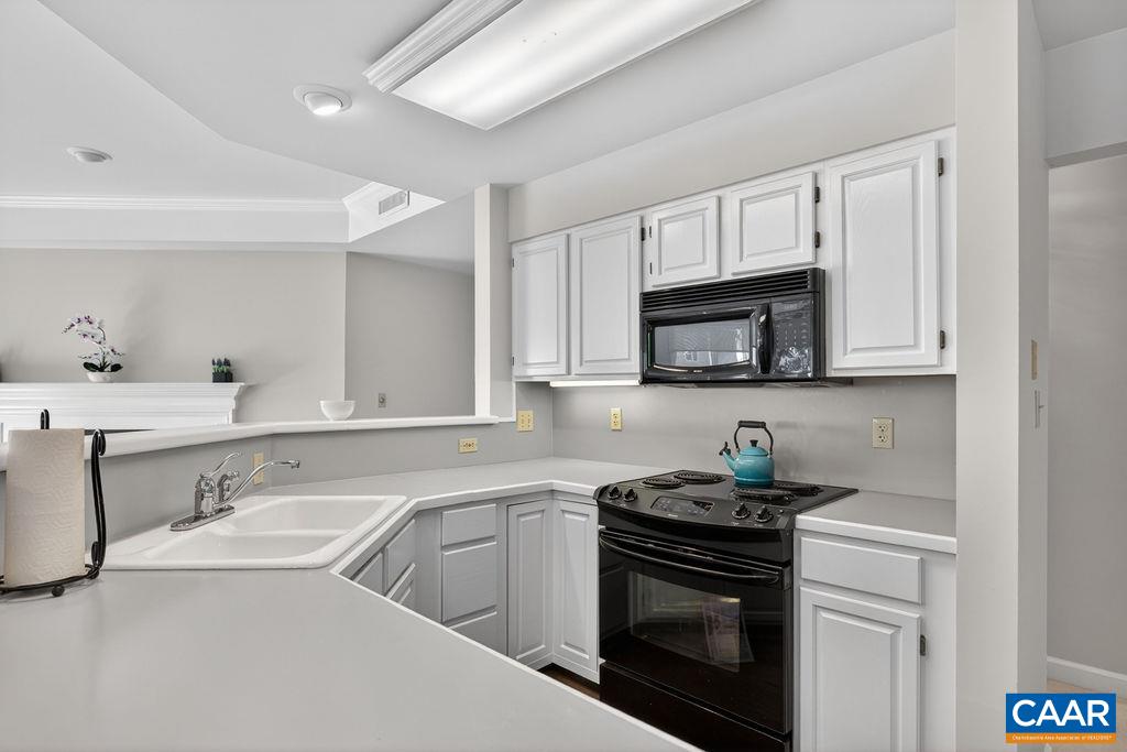1817 High Ridge Ct Condos, Wintergreen Resort, VA 22967 — photo 10