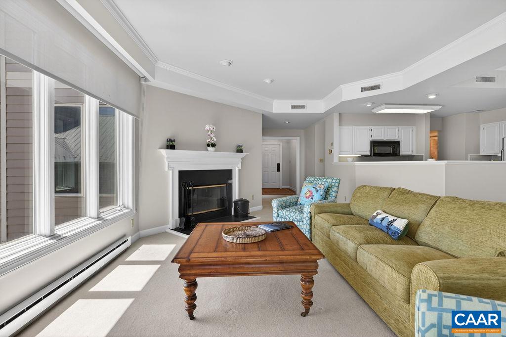 1817 High Ridge Ct Condos, Wintergreen Resort, VA 22967 — photo 5