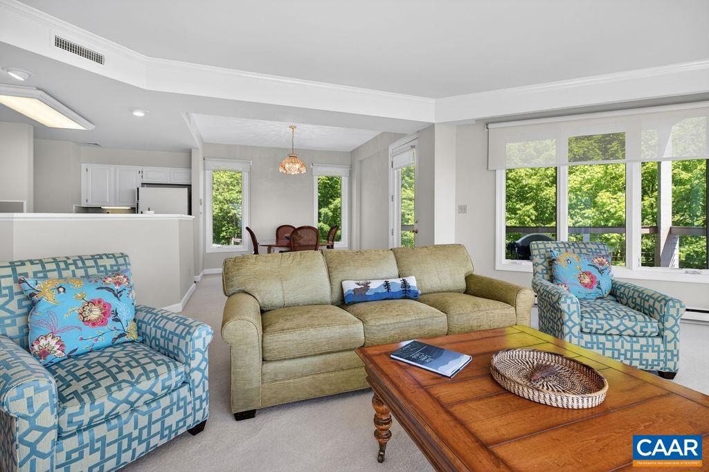 1817 High Ridge Ct Condos, Wintergreen Resort, VA 22967 — photo 7