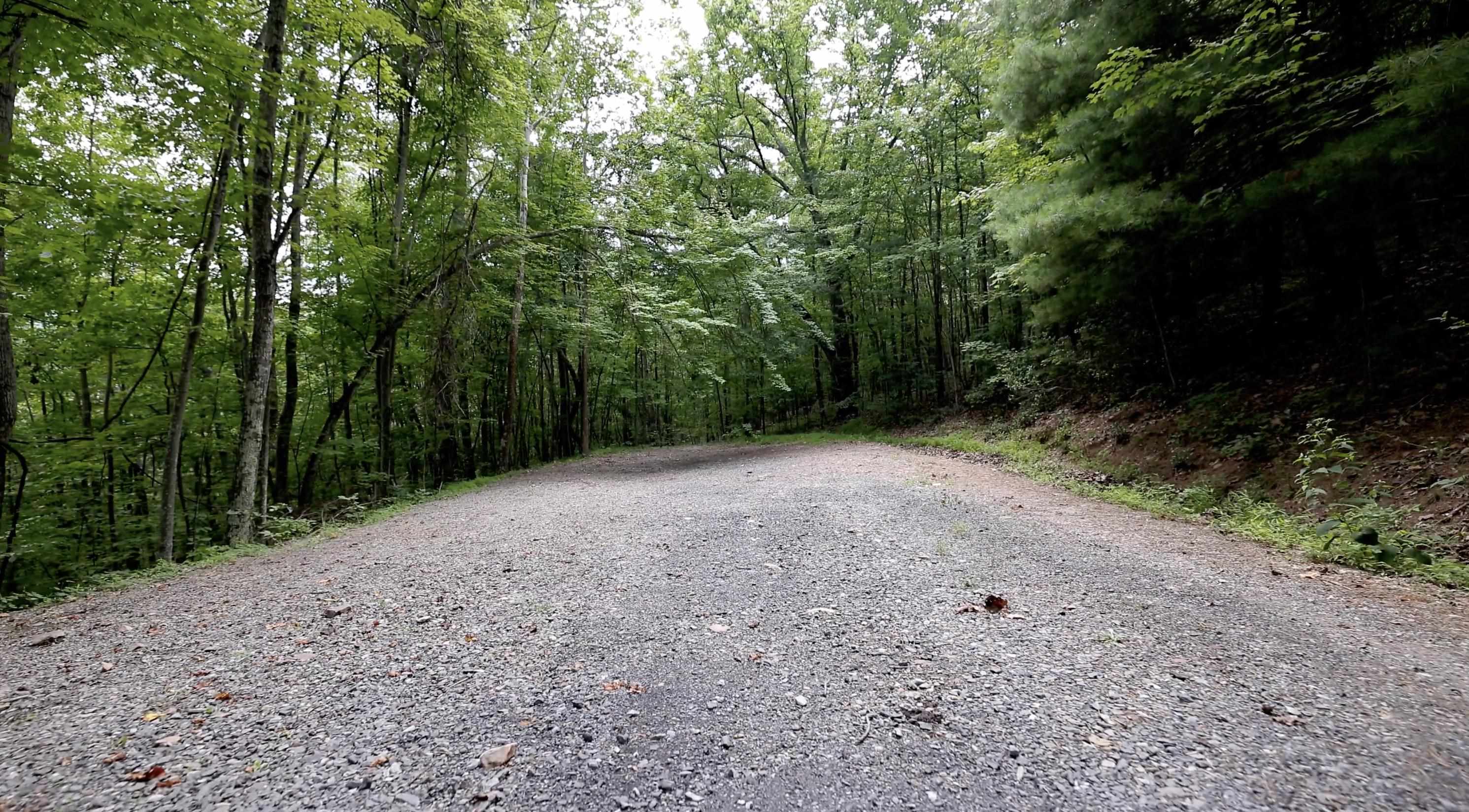 Forest Ridge Trl, Fort Valley, VA 22652