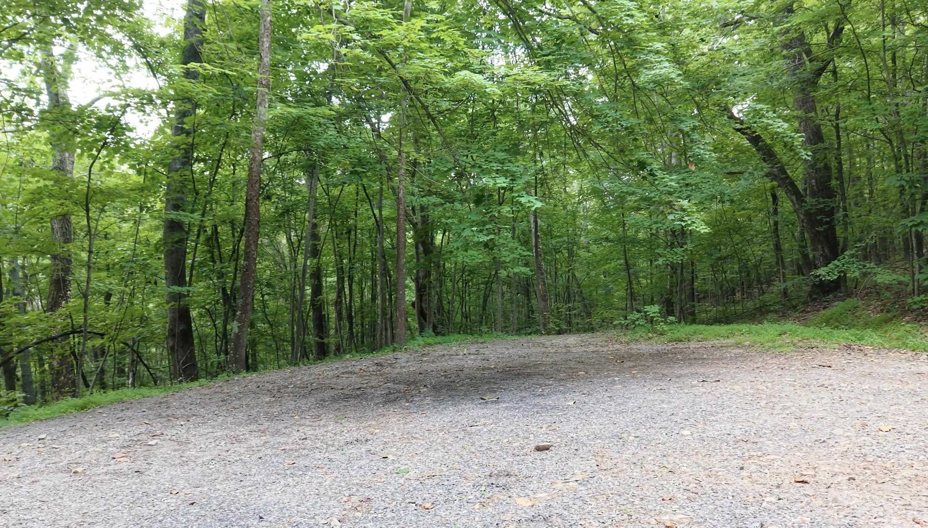 Forest Ridge Trl, Fort Valley, VA 22652 - photo 2