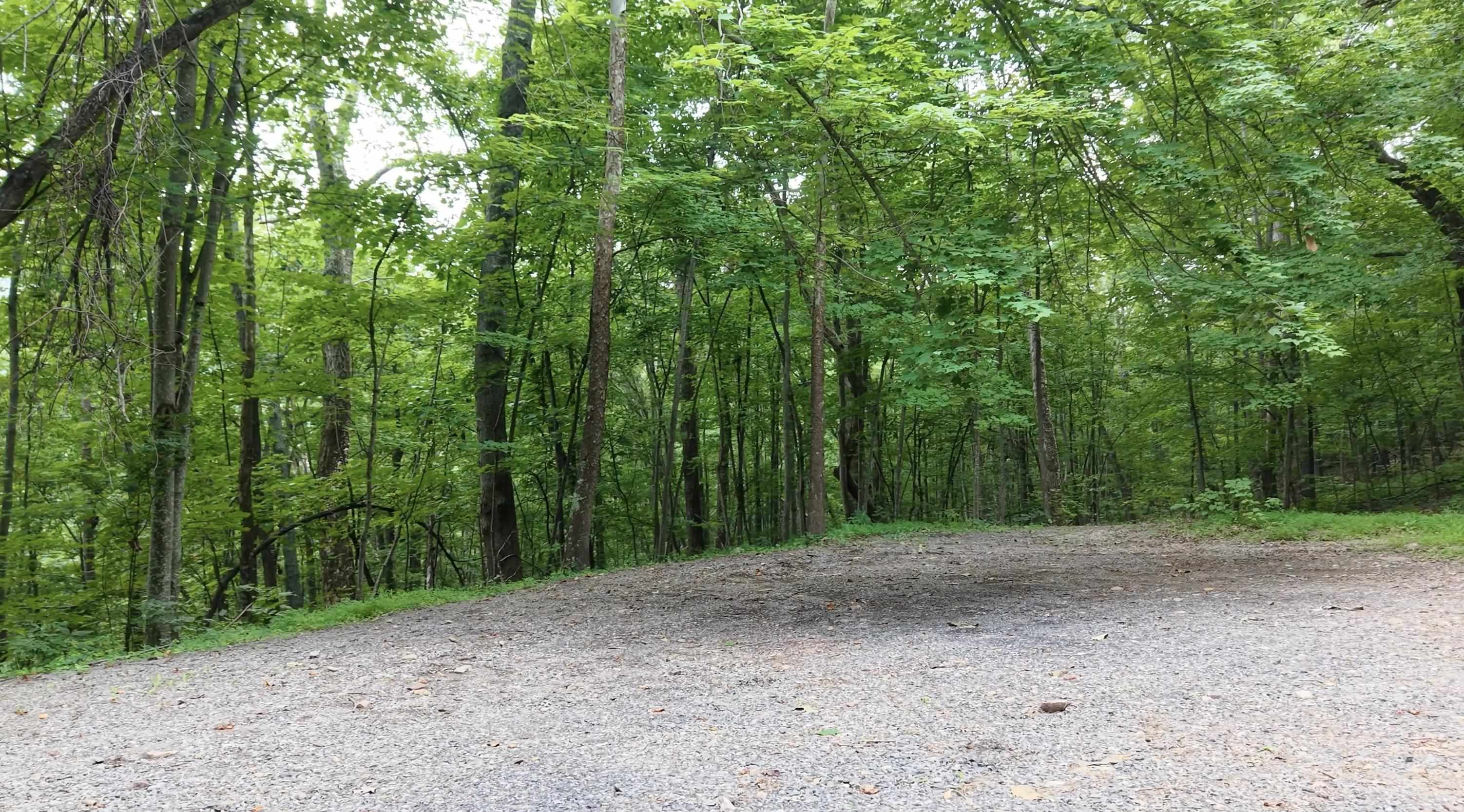 Forest Ridge Trl, Fort Valley, VA 22652 - photo 3