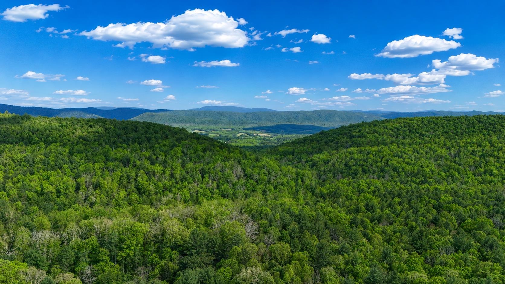 Forest Ridge Trl, Fort Valley, VA 22652 - photo 10
