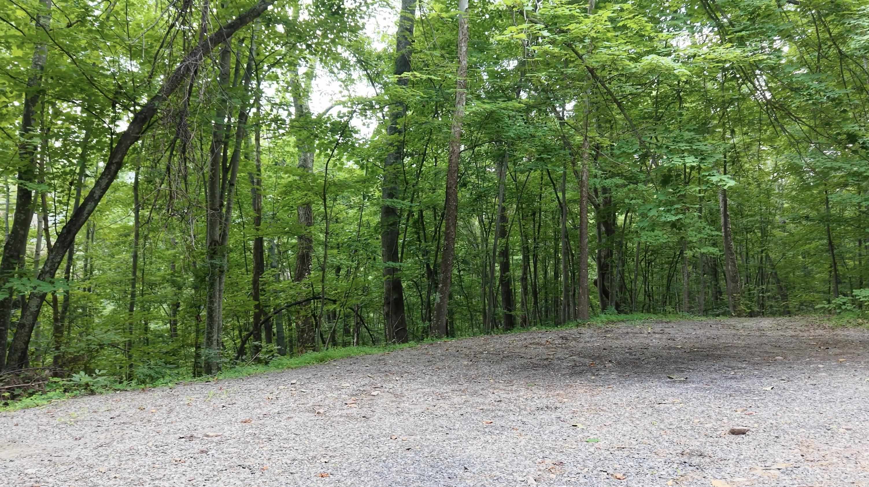 Forest Ridge Trl, Fort Valley, VA 22652 - photo 4