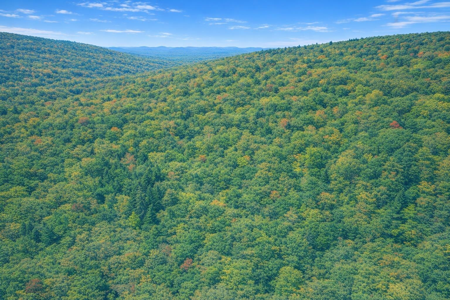 Forest Ridge Trl, Fort Valley, VA 22652 - photo 9