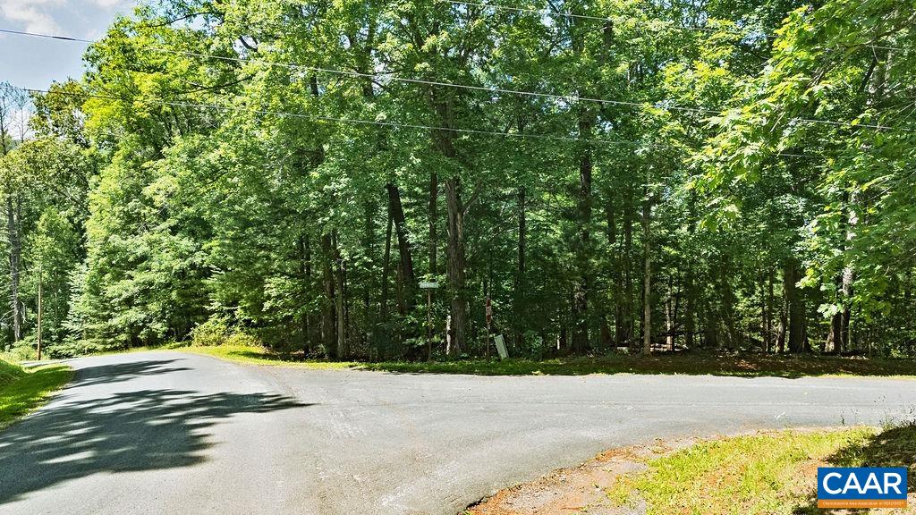 35 Ironwood Ln, Nellysford, VA 22958 - photo 4