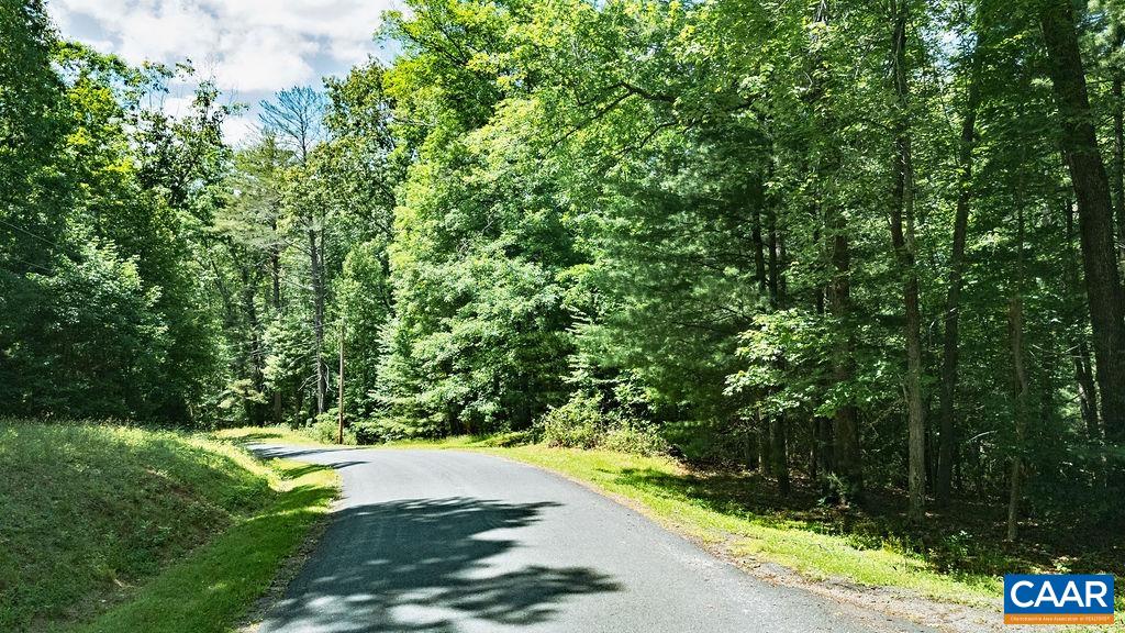 35 Ironwood Ln, Nellysford, VA 22958 - photo 5