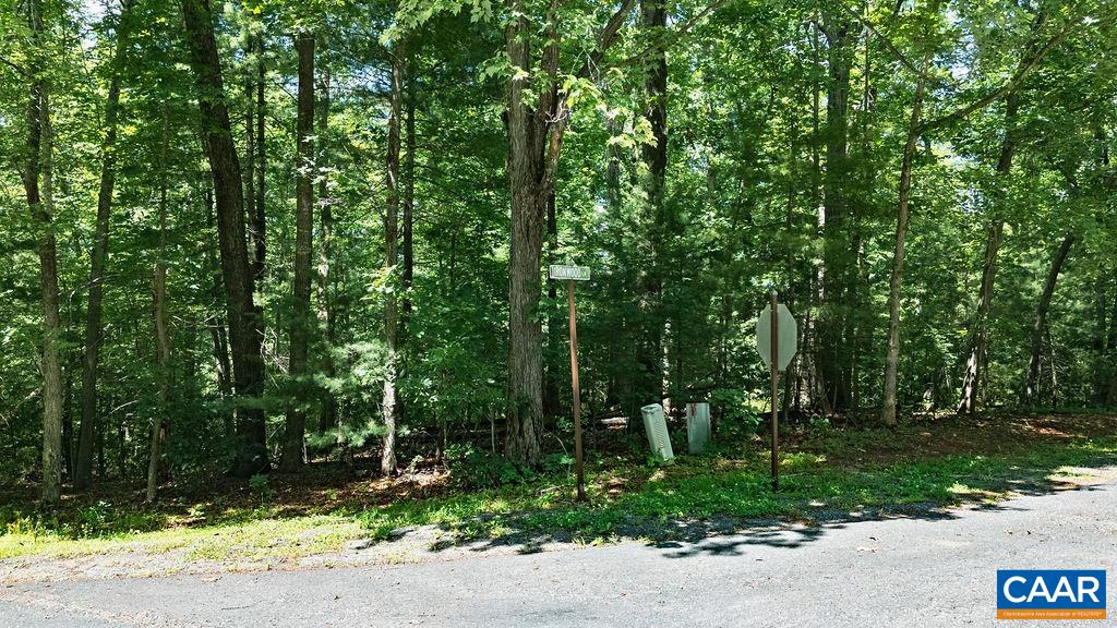 35 Ironwood Ln, Nellysford, VA 22958 - photo 6