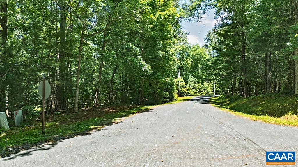 35 Ironwood Ln, Nellysford, VA 22958 - photo 7