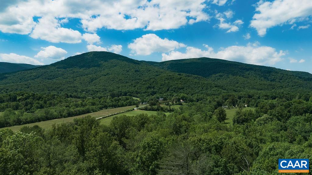 35 Ironwood Ln, Nellysford, VA 22958 - photo 8