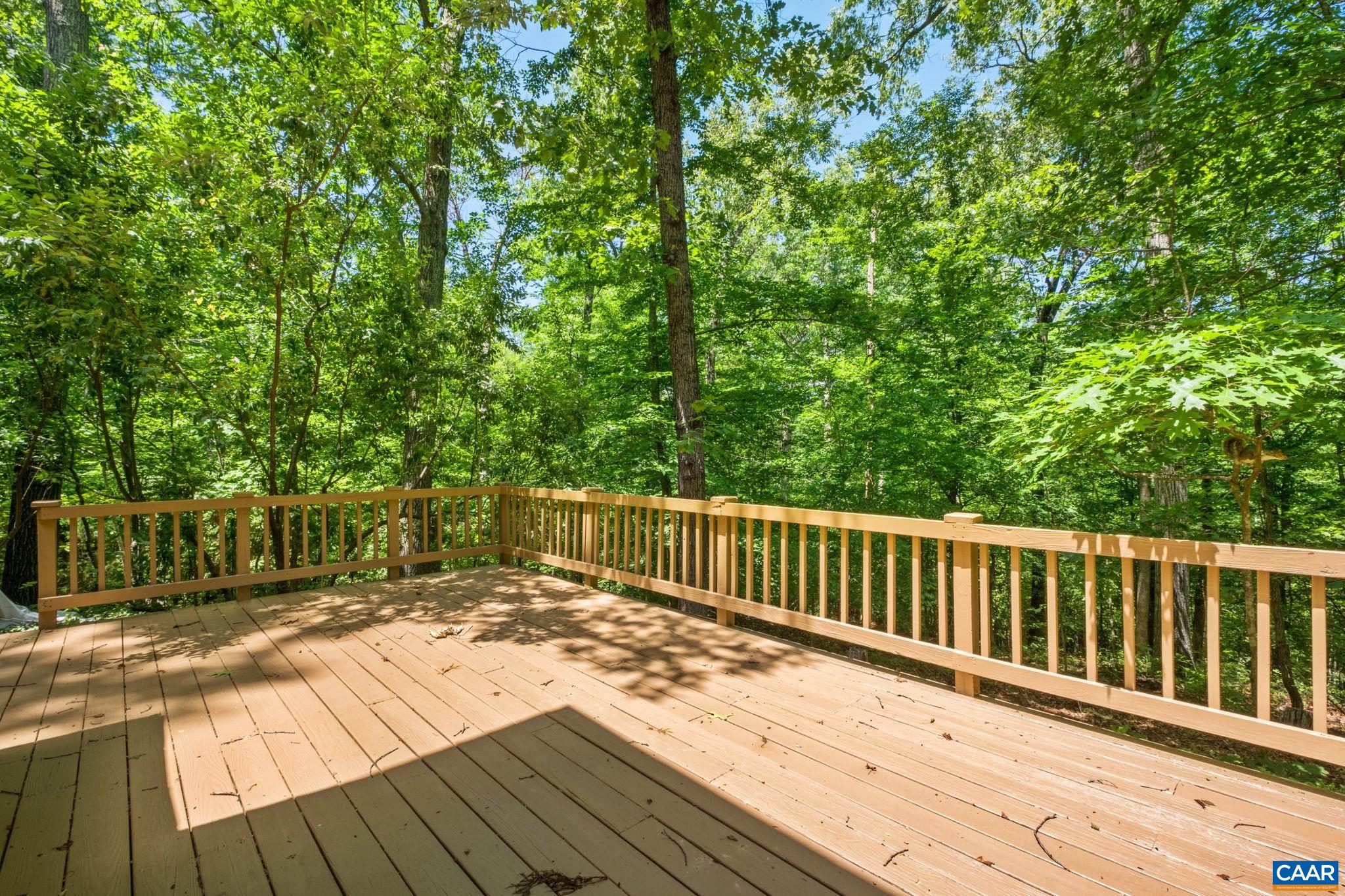 1238 Timberbranch Ct, Charlottesville, VA 22902 — photo 8