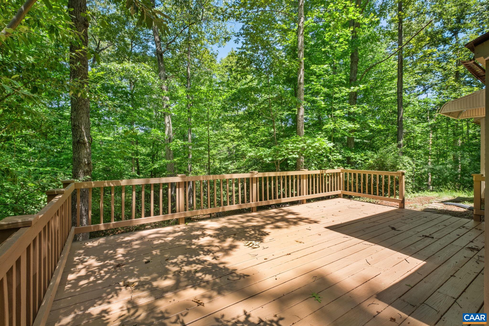 1238 Timberbranch Ct, Charlottesville, VA 22902 — photo 9