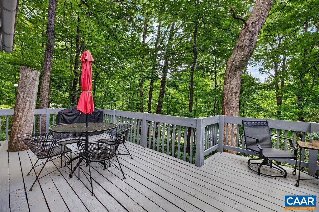 25 Hickorynut Rd, Wintergreen Resort, VA 22967 — photo 3