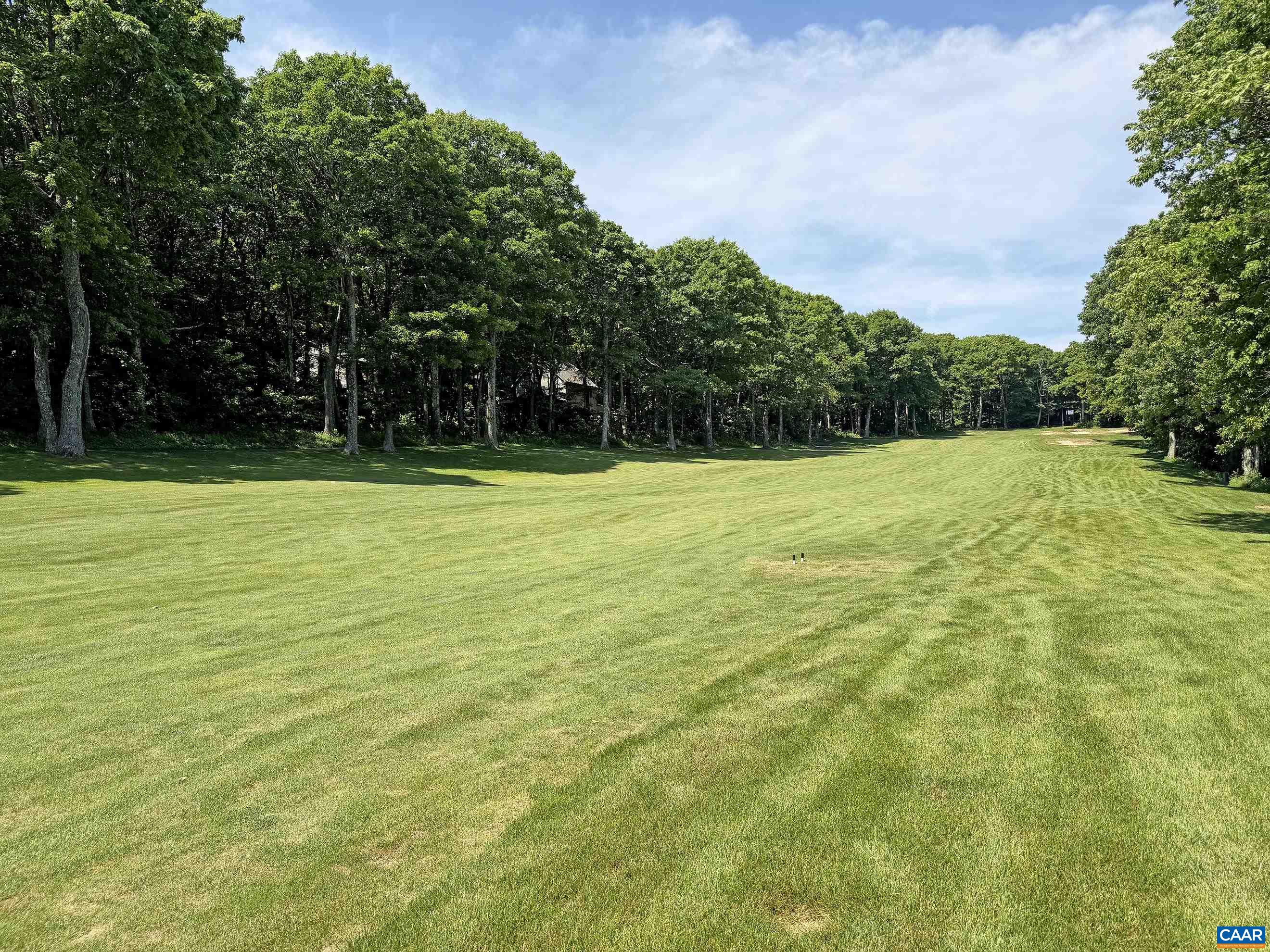20 Blue Ridge Ct, Wintergreen Resort, VA 22967 — photo 4