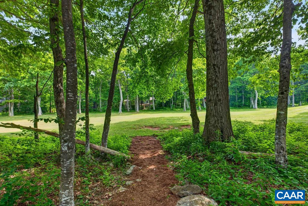 20 Blue Ridge Ct, Wintergreen Resort, VA 22967 — photo 6