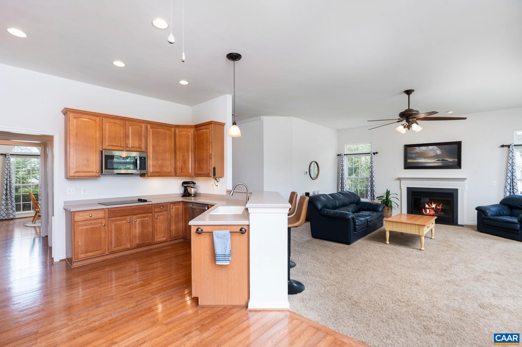10182 Spring Dr, Gordonsville, VA 22942 — photo 5