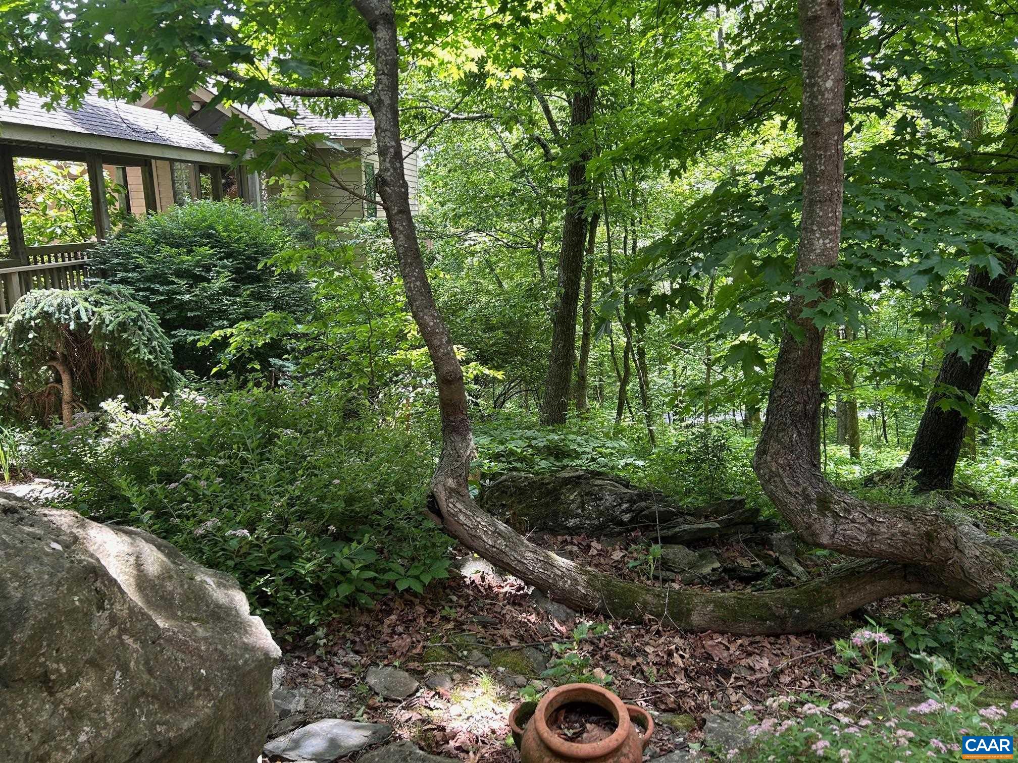 82 Warrior Run, Roseland, VA 22967 — photo 4