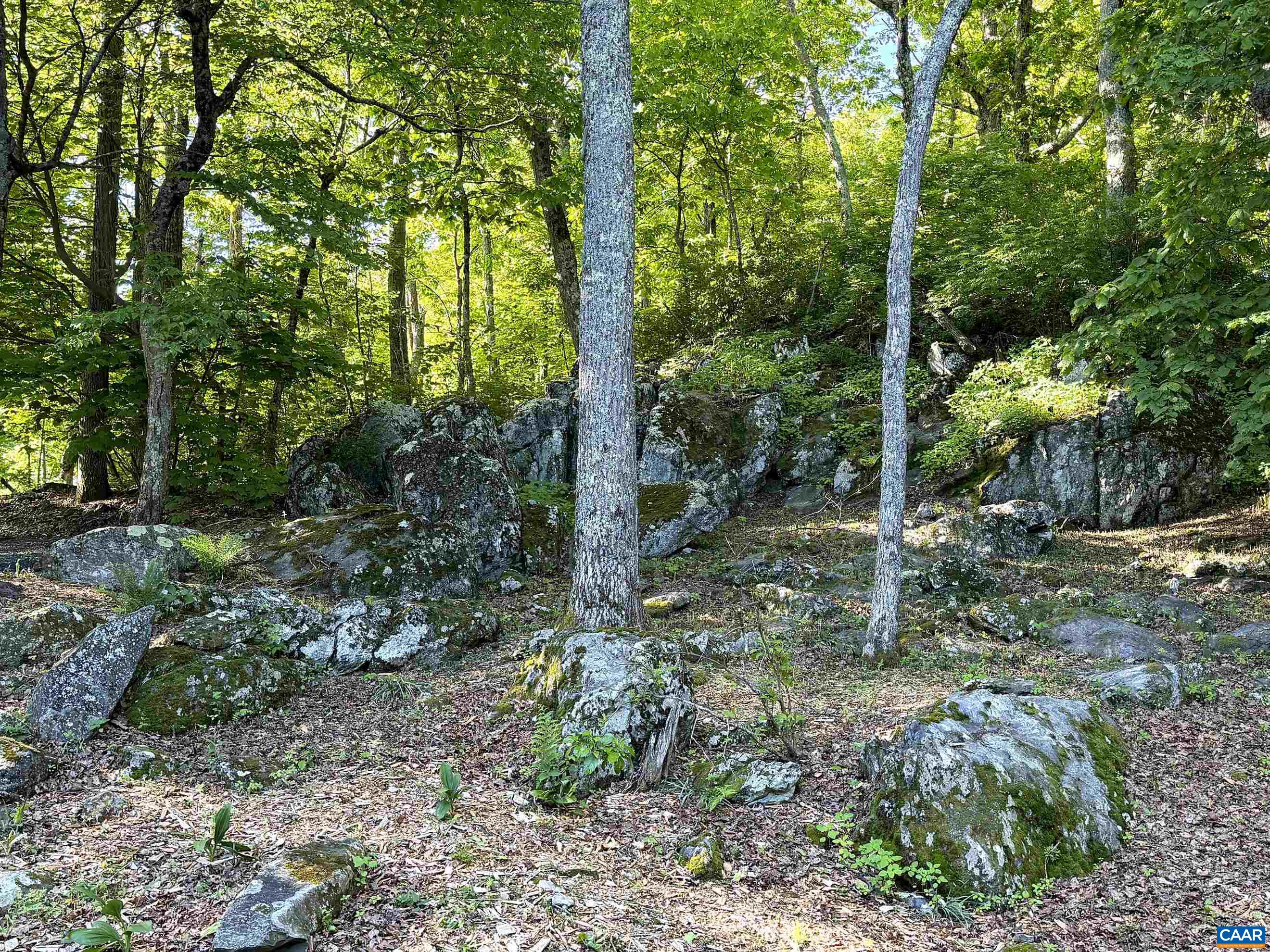 20 Buckhorn Ln, Wintergreen Resort, VA 22967 — photo 5