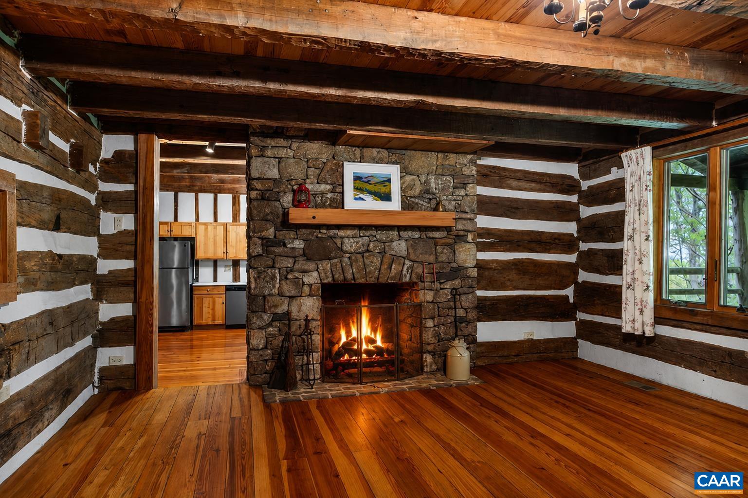 20 Buckhorn Ln, Wintergreen Resort, VA 22967 — photo 9
