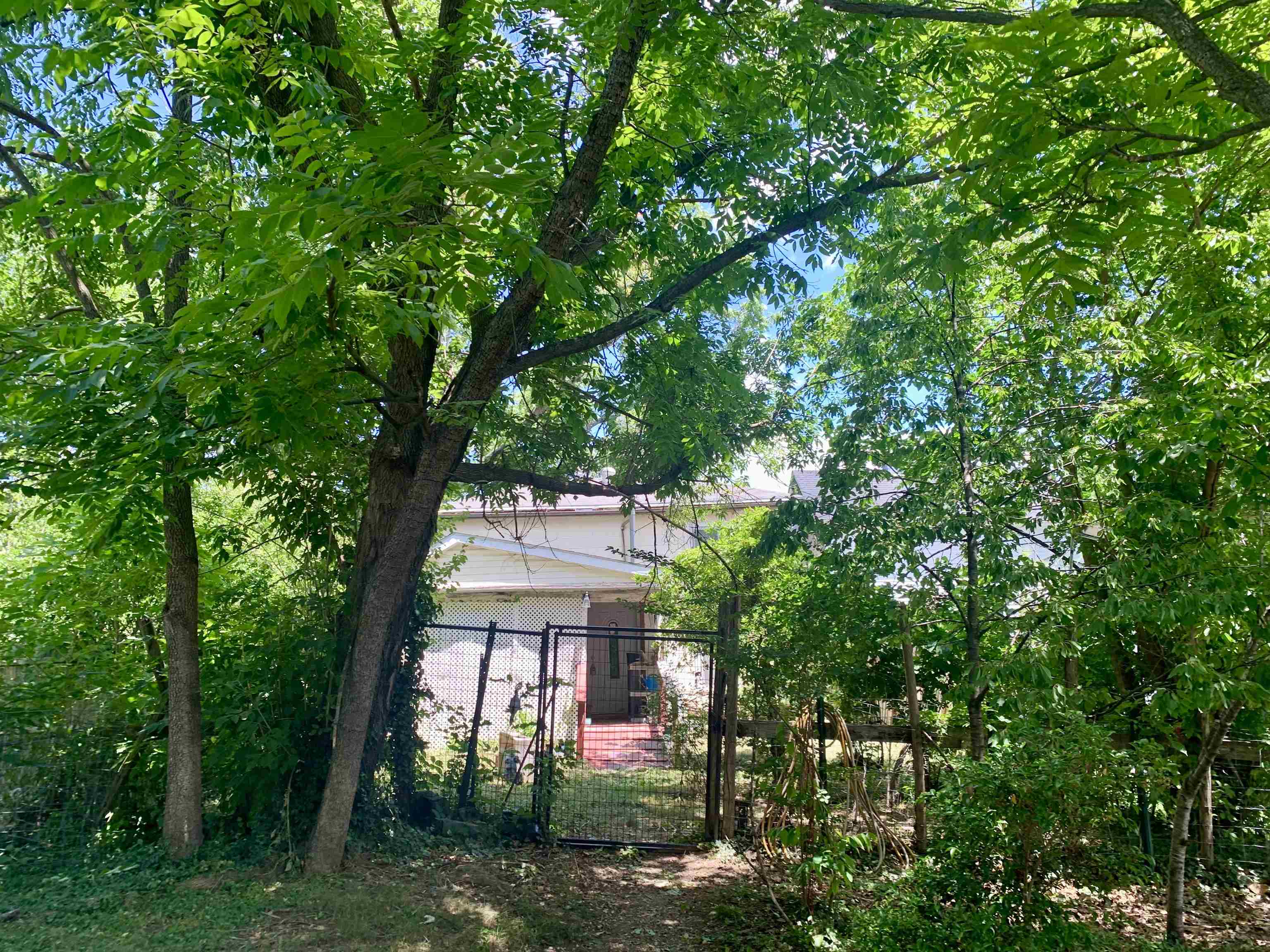 1216 W Beverley St, Staunton, VA 24401 — photo 8