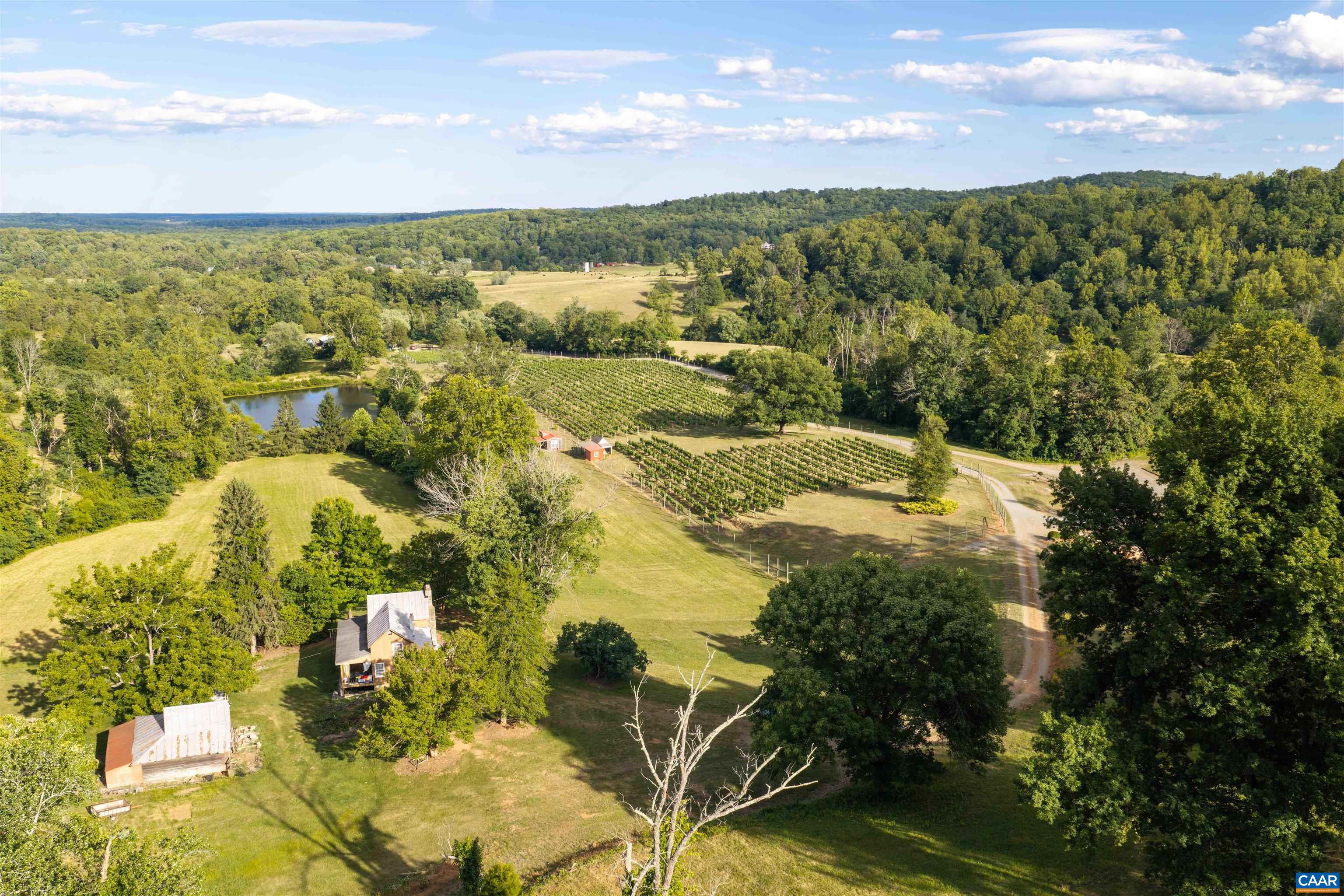 3613 Walnut Branch Ln, North Garden, VA 22959 — photo 5
