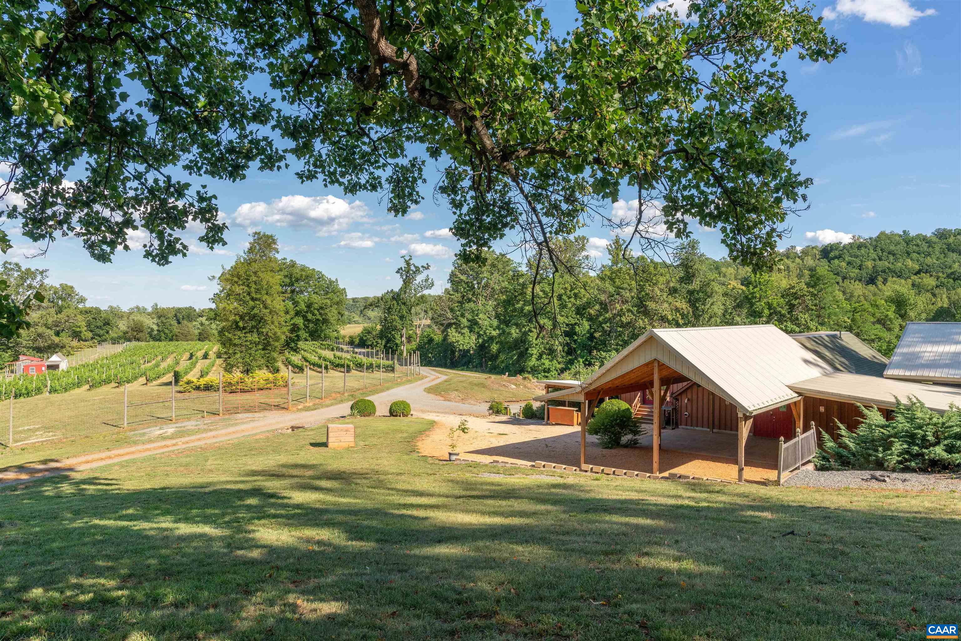 3613 Walnut Branch Ln, North Garden, VA 22959 — photo 6