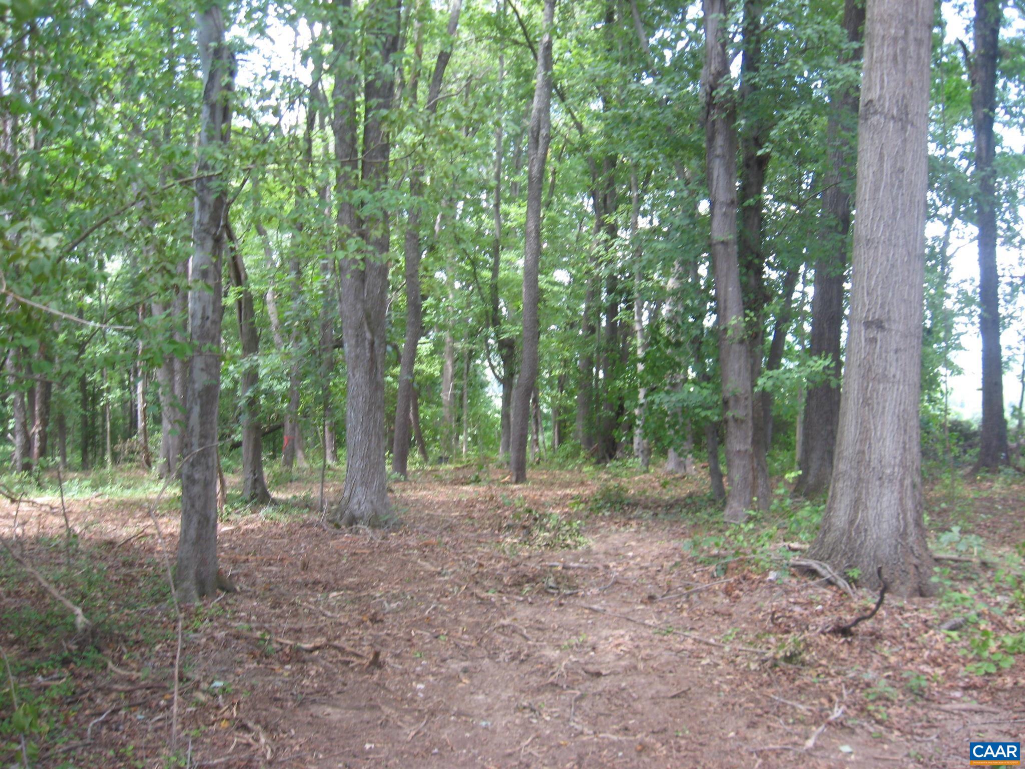 11335 Cox Mill Rd, Gordonsville, VA 22942 - photo 4