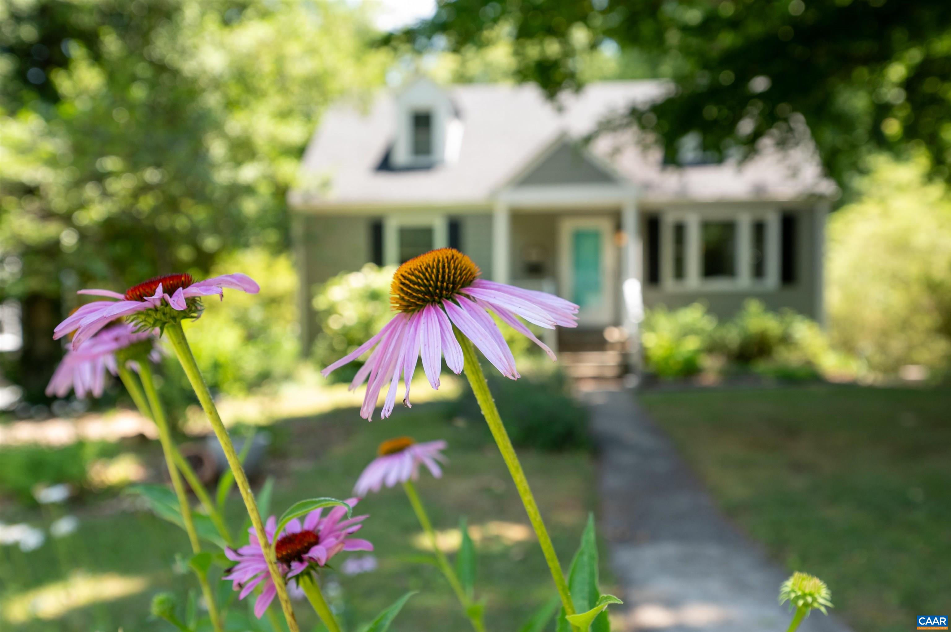 1614 Rose Hill Dr, Charlottesville, VA 22903 — photo 4