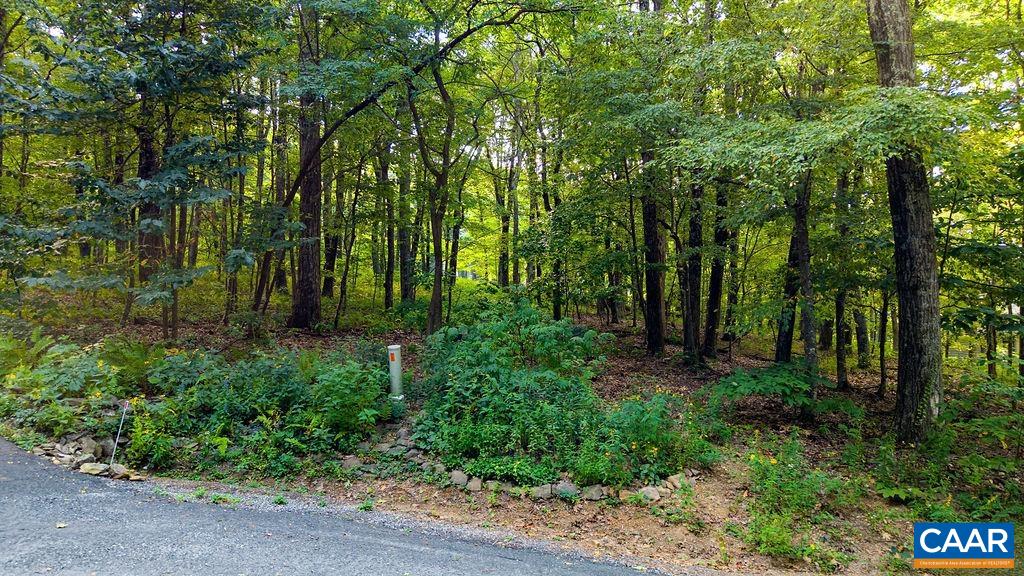 112 Fairway Oaks Ln, Wintergreen, VA 22958 - photo 10