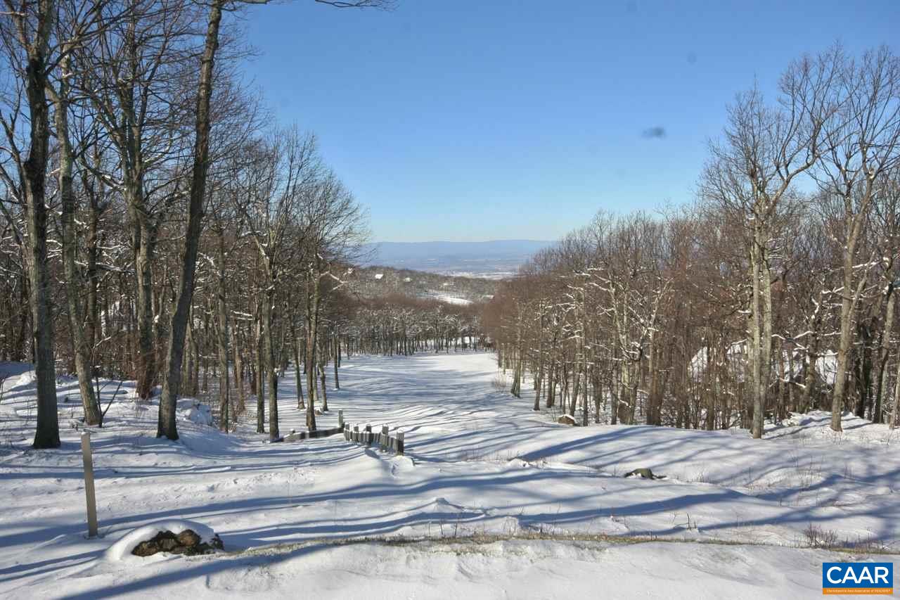 112 Fairway Oaks Ln, Wintergreen, VA 22958 - photo 3