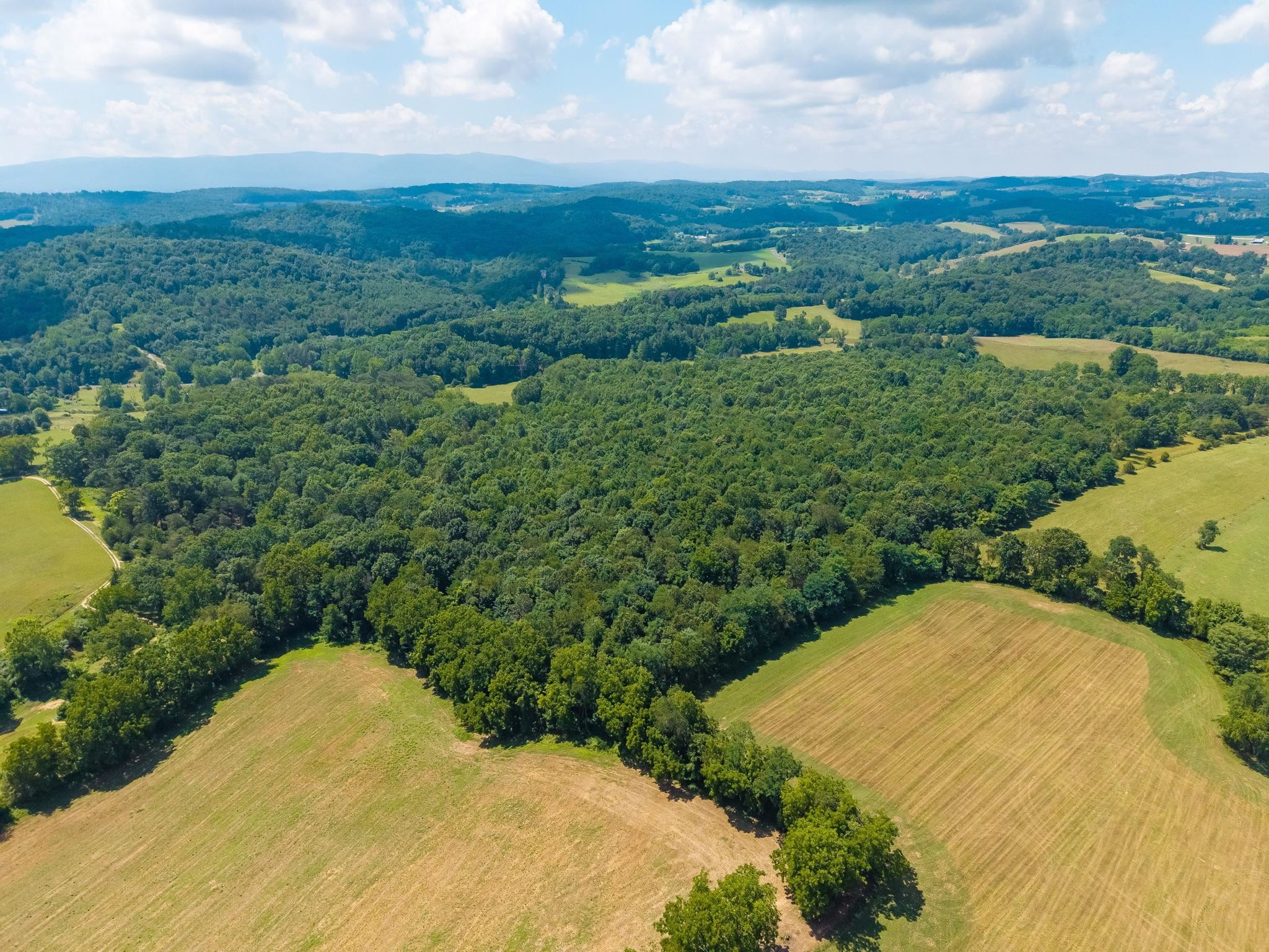 Middlebrook Rd, Staunton, VA 24401 - photo 5