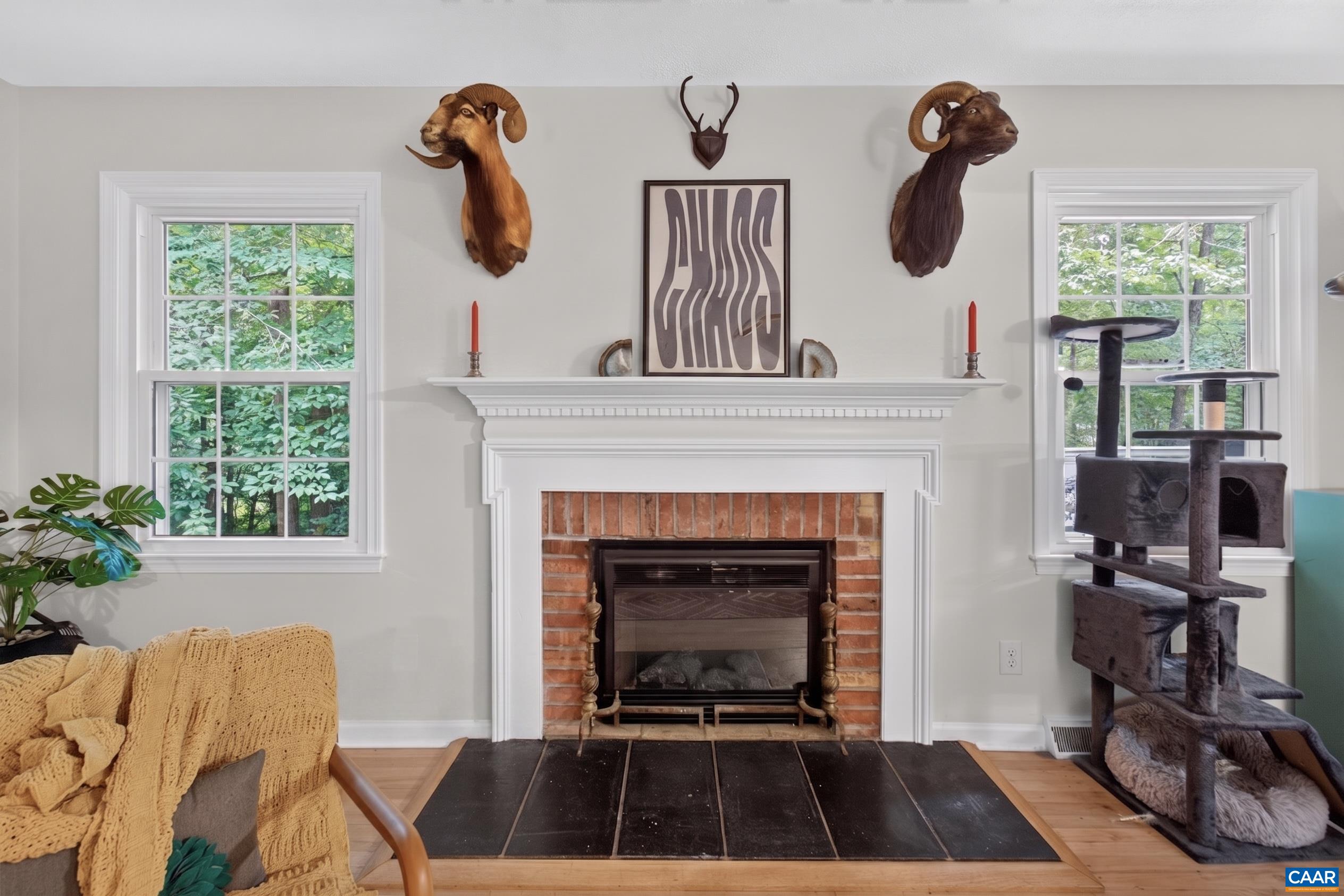 310 Crestfield Ct, Charlottesville, VA 22911 — photo 10