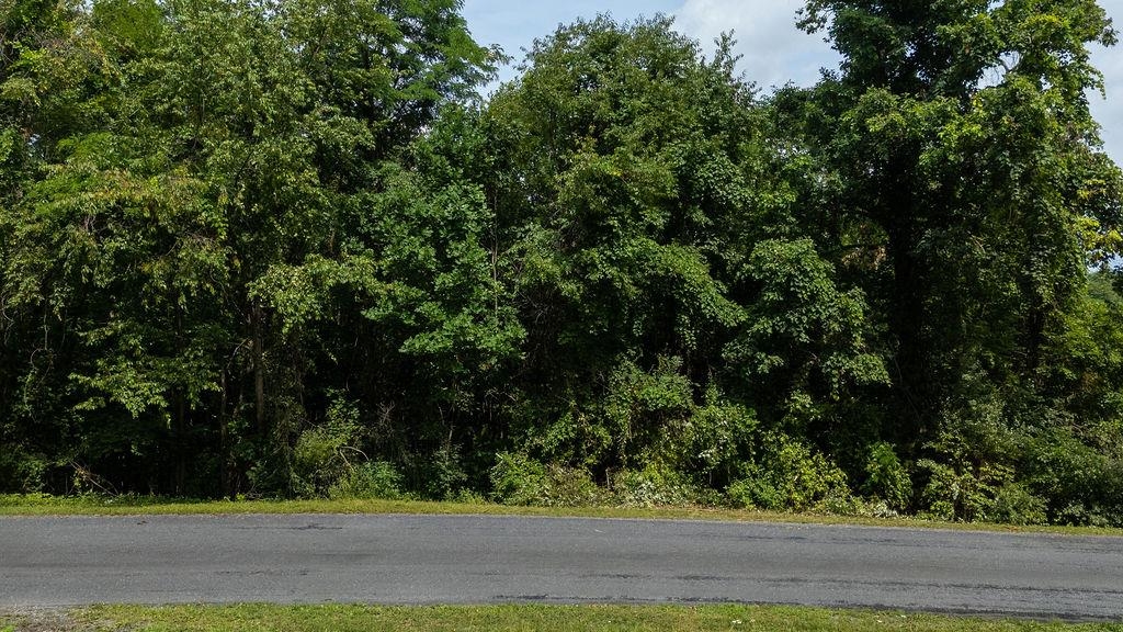 Stover Shop Rd, Churchville, VA 24421 - photo 3