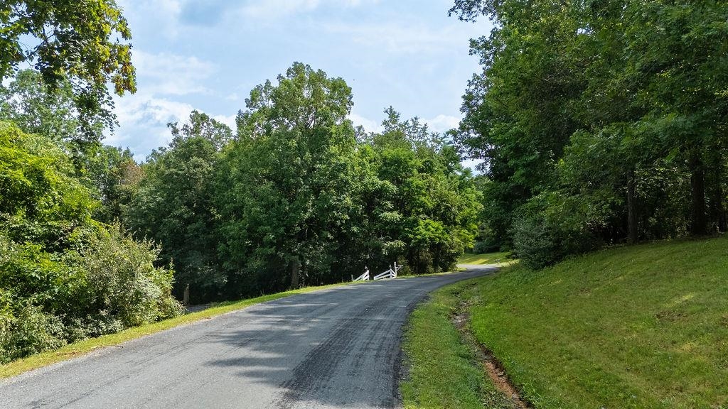 Stover Shop Rd, Churchville, VA 24421 - photo 5