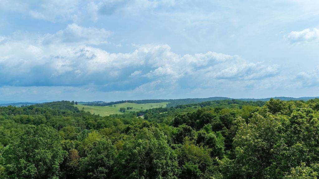 Stover Shop Rd, Churchville, VA 24421 - photo 6