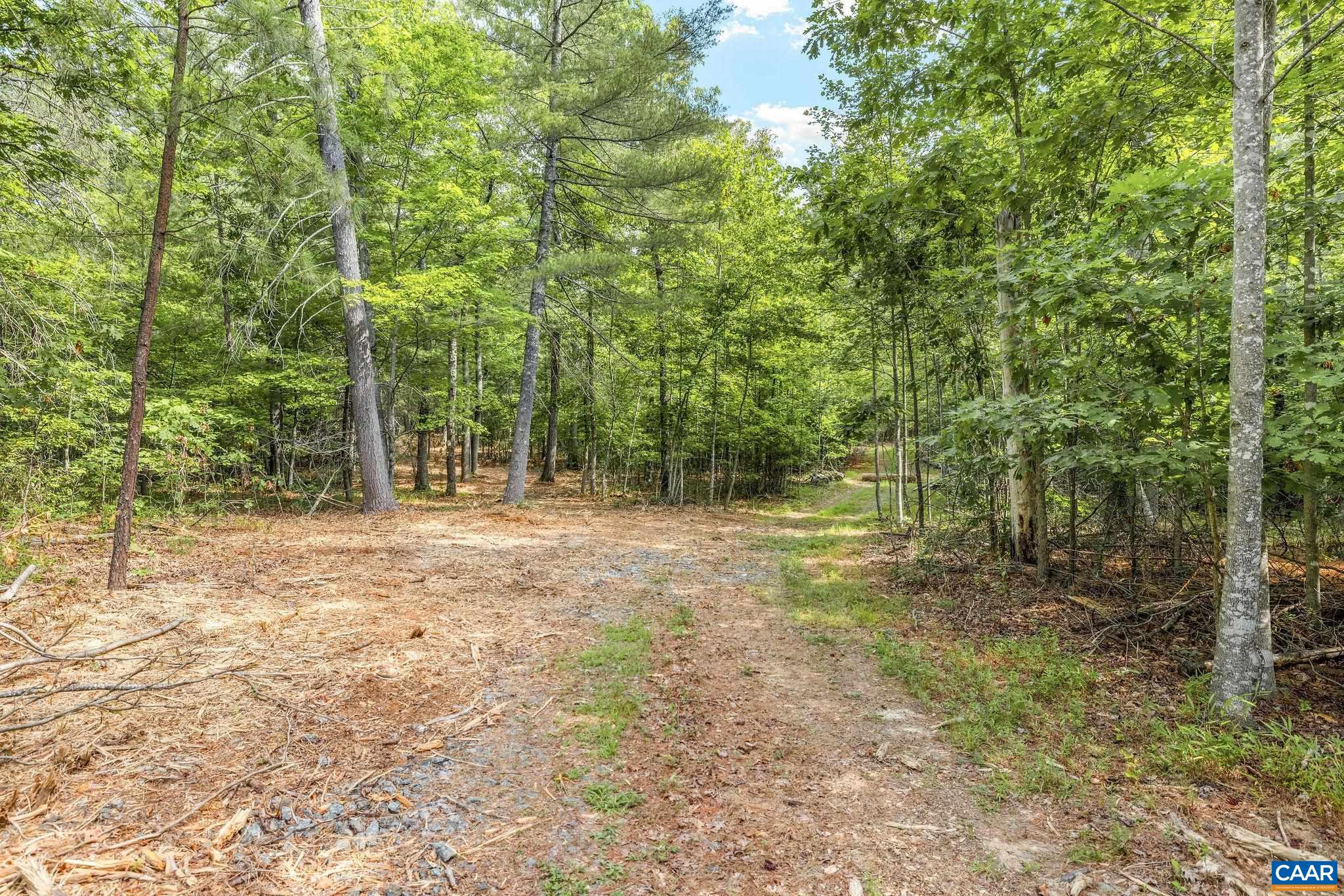 Wesley Chapel Rd, Free Union, VA 22940 - photo 2