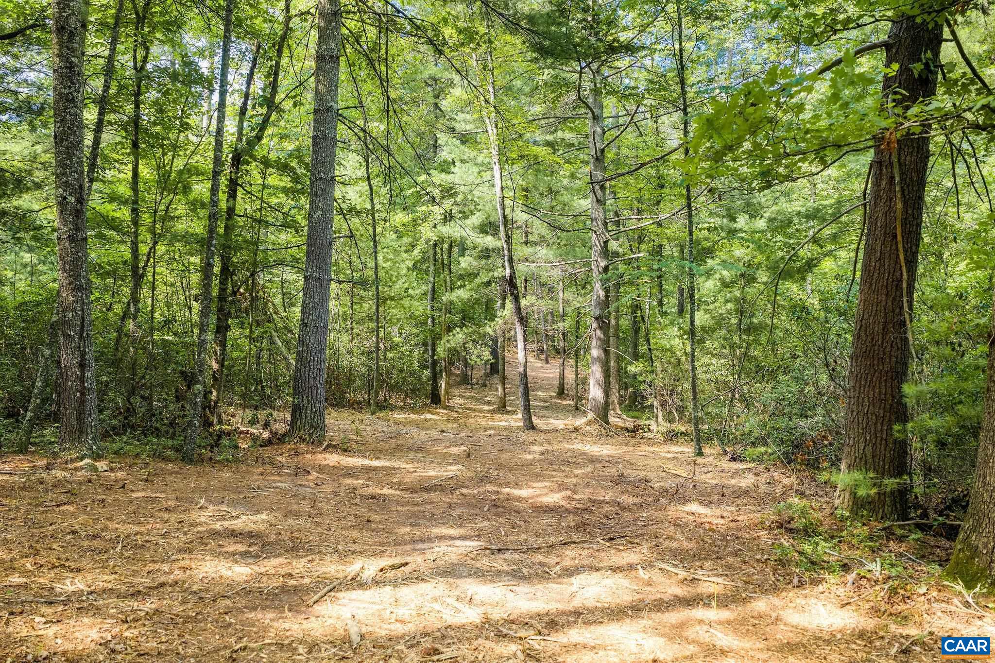 Wesley Chapel Rd, Free Union, VA 22940 - photo 3