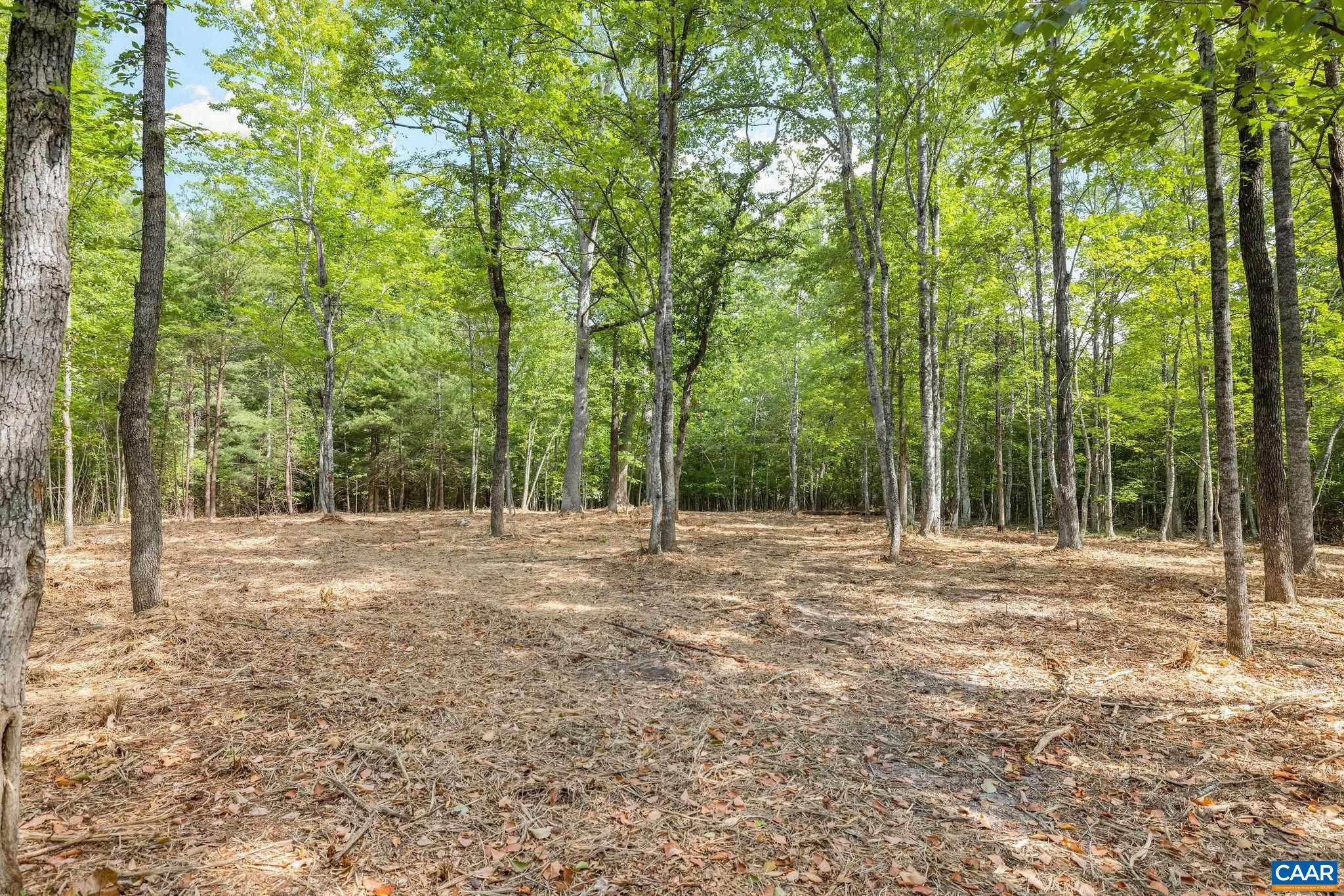Wesley Chapel Rd, Free Union, VA 22940 - photo 4
