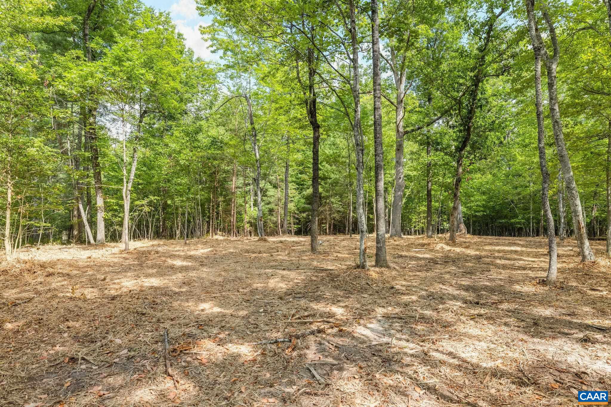 Wesley Chapel Rd, Free Union, VA 22940 - photo 5