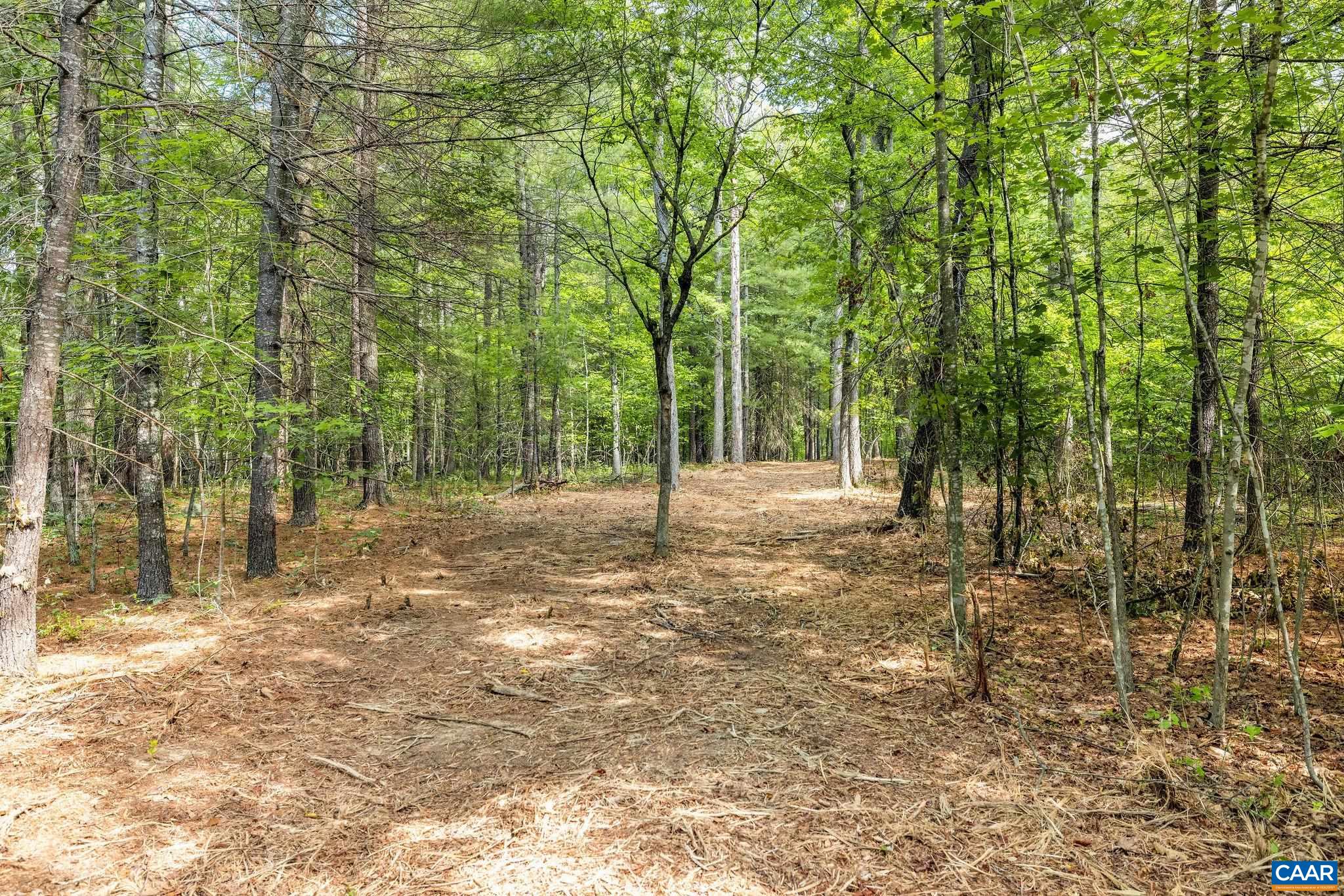 Wesley Chapel Rd, Free Union, VA 22940 - photo 6
